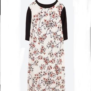 Zara Women dress